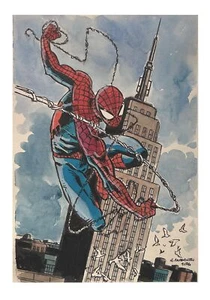 Spiderman - original Artwork Giancarlo Caracuzzo - Original Artwork 2024 - Picture 1 of 3