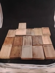 Holzmuster, jeweils mit der Holzart beschriftet. - Bild 1 von 6