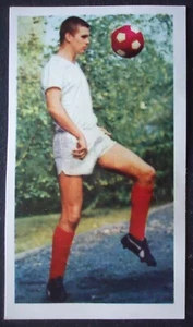 Sicker Sammelbild 79 Adolf Steinig Rot Weiß Essen Bundesliga Asse 1966/67 - Picture 1 of 2