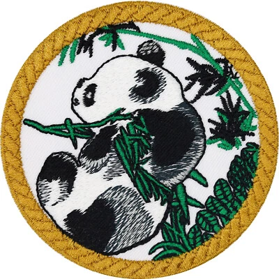 Pandabär Aufnäher Panda Aufbügler Kinder Sticker Naturfreunde Bügelbild 75x75mm - Bild 1 von 4
