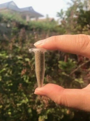 60k Fairy Shrimp eggs Food for New born fish, Betta ,Guppy, Killifish - Image 1 of 4