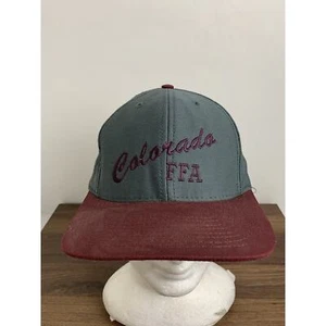 Colorado FFA Baseball Cap Hat cap Made In USA Adjustable Gray Farming - Picture 1 of 9