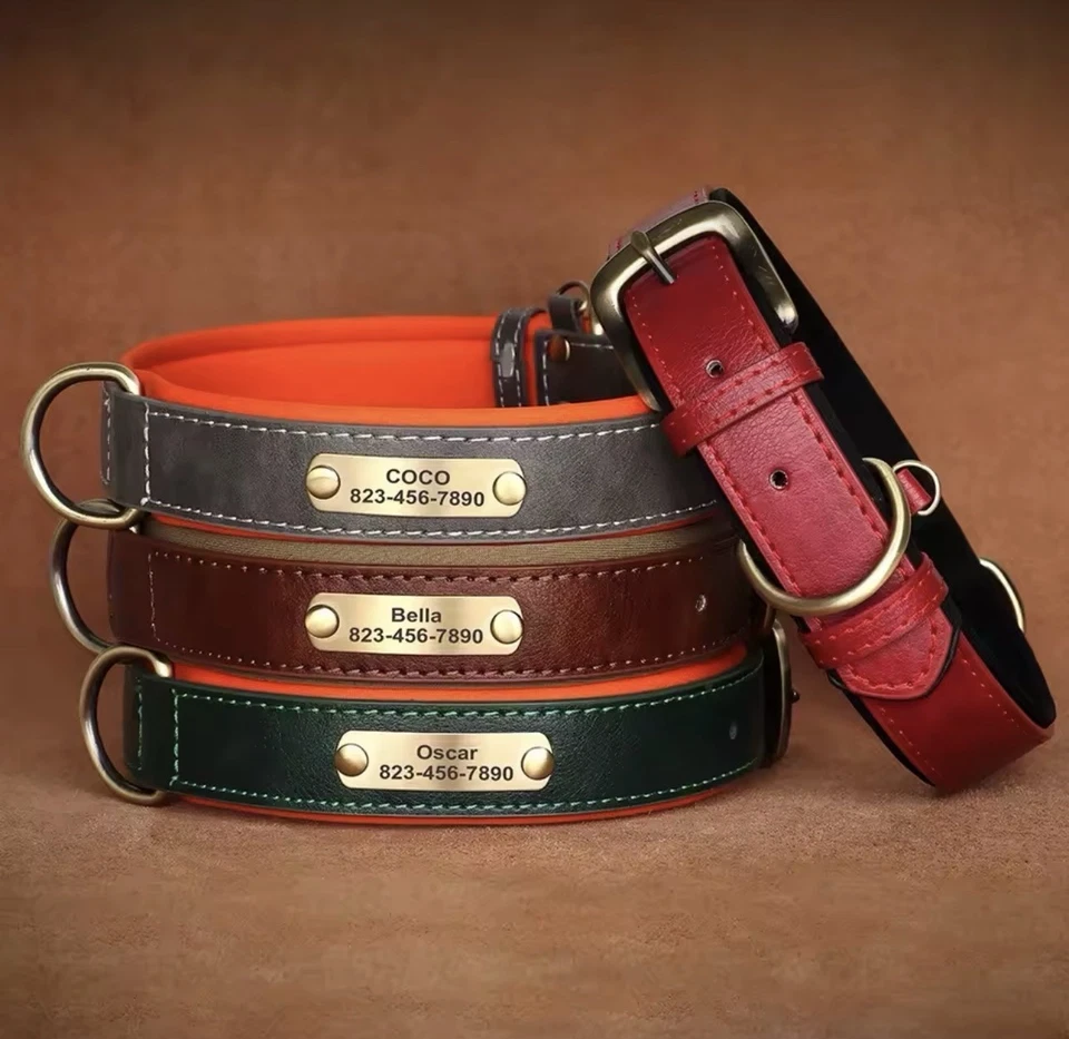 Collar acolchado de cuero personalizado para perro placa de identificación personalizada collares para mascotas Foto 1 de 4