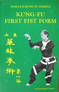 RARE 1982 1ST PRINTING KUNG FU FIRST FIST FORM BY MASTER P. CHAN MARTIAL ARTS - Picture 1 of 1
