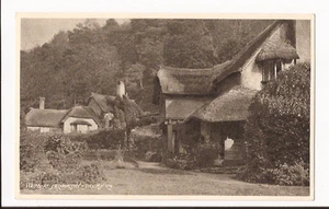 (b87) Thatched Cottages At Selworthy, Somerset c1910 - Unused - Picture 1 of 1