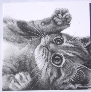 Themenkarte Katze von Tracks Cards. Blanko innen für eigene Nachricht. Kätzchen Motiv. - Bild 1 von 4