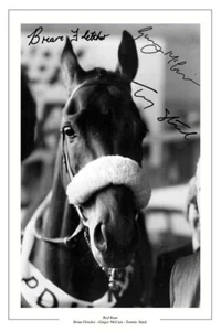BRIAN FLETCHER TOMMY STACK GINGER McCAIN SIGNED PHOTO PRINT RED RUM HORSE RACING - Picture 1 of 1