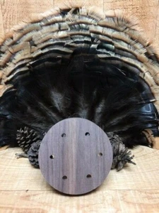 1-Ready to Customize Walnut Turkey Call Pot Unfinished - Picture 1 of 2