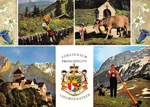 LIECHTENSTEIN VADUZ SCHLOSS VADUZ - Imagen 1 de 2