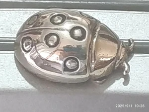 STATUINA MINIATURA VINTAGE COCCINELLA PORTAFORTUNA ARGENTO 800 DA COLLEZIONE - Picture 1 of 6