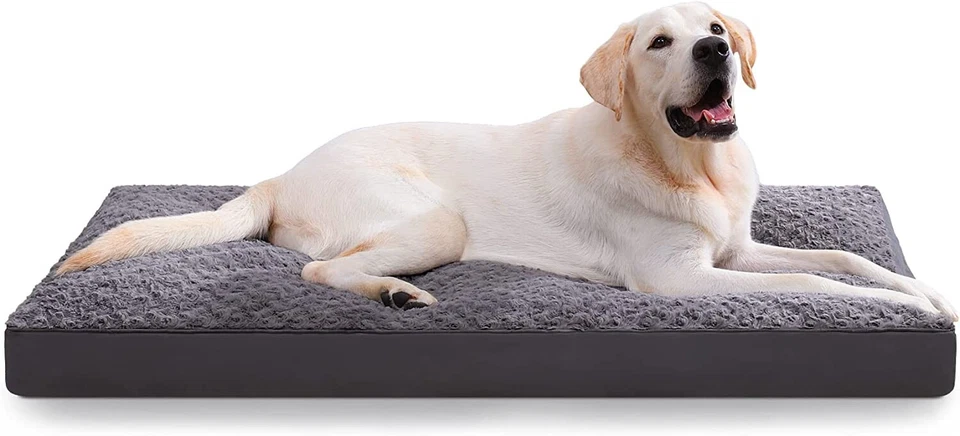 Cama para Perros Terciopelo Gris Suave 35x22 Antideslizante Parte Inferior Caja Abierta NUEVO Foto 1 de 3