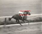 Original NBC Telop Bump Card Promo Photo Horse Racing # 5 DBW