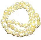 NP264 perles perles d'eau douce jaune 8 mm face plate riz de culture 16"