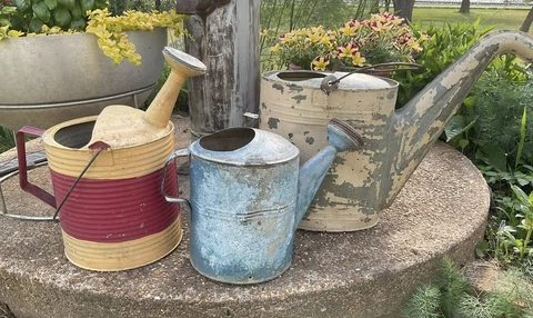 Antique Galvanized Watering Cans Garden Art Old Paint Lot Of 3 Garden Farmhouse Cover