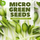 Organic Microgreen Seeds Heirloom  | Non-GMO | Seeds for Sprouting