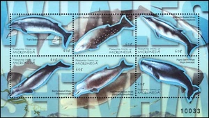 "Hoja de recuerdos ""ballenas"" de vida marina MICRONESIA 417 (pb48203) - Imagen 1 de 1