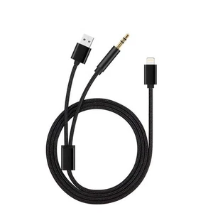 USB Interface Audio Cable Lead AUX Adapter For Bmw & Mini iPhone 6 7 8 X XS XR - Picture 1 of 8