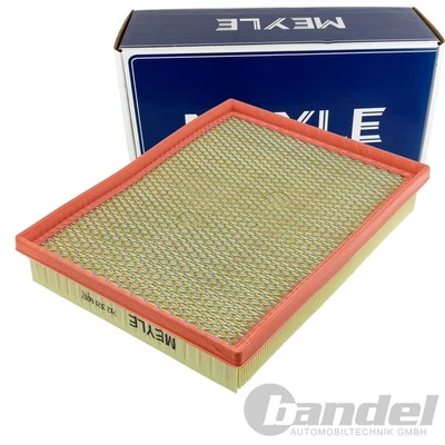 Filtro De Aire MEYLE Compatible Con FORD FOCUS KUGA | 712 321 0017 - Imagen 1 de 3