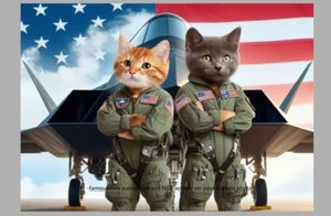 Kätzchen Katze Stealth Fighter Pilot FOTO Katzen 5x7 Kunstdruck lustige Deko - Bild 1 von 2