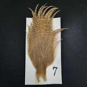 Barred Ginger Grizzly Seco Mosca Hackle Cuello Capa Gallo Mosca Seca Atar Plumas #7 - Imagen 1 de 5