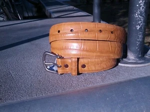 Genuine Wild Alligator leather Belt Skin Gator Hide Golf 36 biker FE27 jeans - Picture 1 of 12