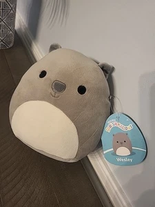 Original Squishmallows NWT 7" Wesley The Wombat HTF - Picture 1 of 7