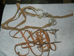 VINTAGE EQUESTRIAN TACK, HARNESS, BRIDLE, BIT AND REINS - Picture 1 of 5