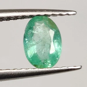 0,54 quilates - Esmeralda natural forma ovalada buen brillo gema verde zambia - 8406 - Imagen 1 de 2