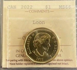 Canada - 1 Dollar - 2022 - Loon - ICCS Certified - MS-66 - Picture 1 of 3