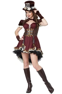 Brand New Wild West Victorian Steampunk Girl Burlesque Adult Costume - Picture 1 of 1
