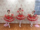 Royal Blue Professional Ballet Tutu Child Ballet Adult Ballerina Party Costumes