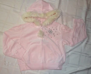 Gymboree  PRINCESS SNOWDROP Pink Velour Hoodie Top NWT 6 7 - Picture 1 of 4