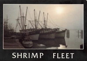 Texas Shrimp Fleet Boats in Morning Fog 4 x 6 Vintage Unposted Chrome PC - Picture 1 of 2