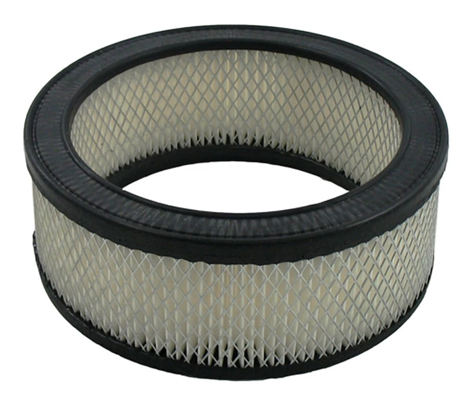 Filtro de ar do motor para American Motors Pacer 1975-1980 com 4.2L 6Cyl L - Imagem 1 de 1