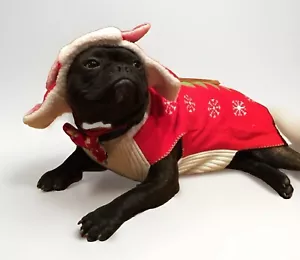 Dog Medium Christmas Sweater And Earmuff Cap Cute! Stretchy Used Once - Picture 1 of 9