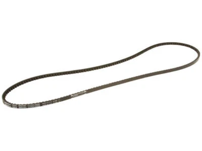 Cinturón multi costilla para Dodge D150 1985-1987 AC Delco 62355RTZQ 1986 3,7 L 6 cilindros dorado Foto 1 de 2