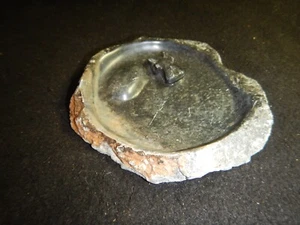 Vintage hand carved stone hippo swimming ashtray tinket jewelry dish bowl - Picture 1 of 10