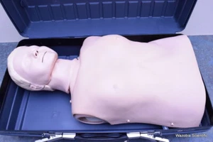 Maniquí de entrenamiento médico Laerdal Resusci Anne Torso - Imagen 1 de 12