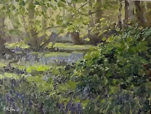 HELEN TARR ORIGINAL Erste Bluebells wildes Landleben Cotswolds ÖLGEMÄLDE - Bild 1 von 2