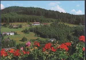 Alte Postkarte - Warmensteinach - Picture 1 of 1