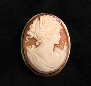 Antike Muschel Kamee 800 Silber mit Gold Twist Brosche Anstecknadel schön handgeschnitzt Frau - Bild 1 von 24