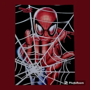 2009 Spider-Man Archives Foil #5 Webbing NM Condition 🔥🕸🕷 - Bild 1 von 2
