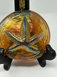 (8) John Cook Art Glass Iridescent Starfish Paperweight Signed Hand Blown - Picture 1 of 6