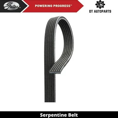 Puertas de cinturón serpentine para Volkswagen Golf 1999-2007 2000 2001 2002 2003 2004 Foto 1 de 4