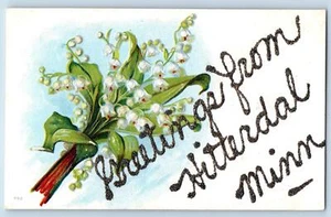 c1909 Grüße aus Hitterdal Blumen Glitzer Minnesota Korrespondenz Postkarte - Bild 1 von 2