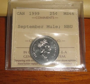 ICCS MS66 NBU - Canada 1999 Quarter 25 Cents September Mule (XHI 706) - Picture 1 of 2