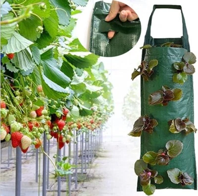 4/8 Pockets Strawberry Plant Planter Bag Vertical Garden Hanging Veg Growing Bag - Image 1 of 4