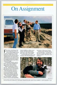 1992 Print Ad: National Geographic on Assignment - EPA & Black Bear Cubs - Picture 1 of 2