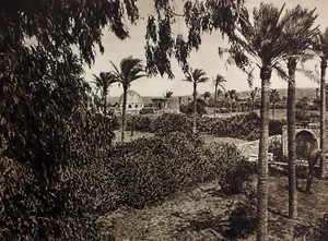 1925 GAZA STRIP Palestine Photogravure Photograph Architecture Landscape Palms - Picture 1 of 2