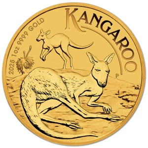 2025 P Australia Gold Kangaroo - 1 oz - $100 - BU - Picture 1 of 3